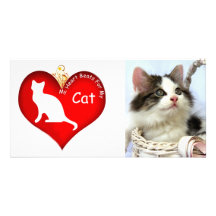 Katzen-Herz-Schlag-Foto-Karte Foto Karte
