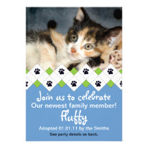 Katzen-/Kätzchen-Adoptions-Mitteilung Personalisierte Einladung