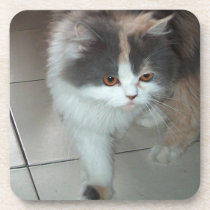 Katzen-Schönheits-Korken-Untersetzer kork-untersetzer