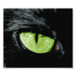 Katzenauge Foto