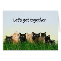 Katzenfamilientreffen karten