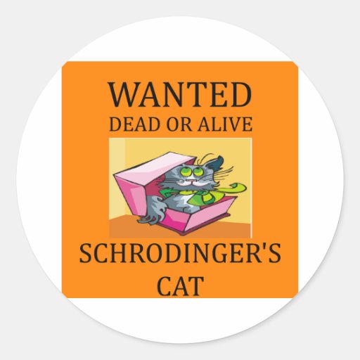 Katzenwitz der schrodingers runde sticker