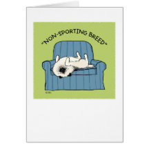 Keeshond "race Non-Sportive " Cartes De Vœux