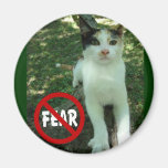 Keine Furchtkatzenprodukte Kühlschrankmagnete