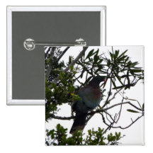 Kereru (gebürtige hölzerne Taube) Anstecknadel