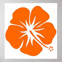 Ketmie orange posters