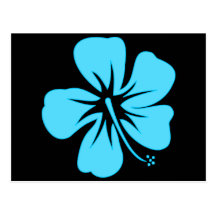 Ketmie turquoise carte postale