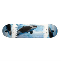 Killerwale auf einem Skateboard Skateboard Deck
