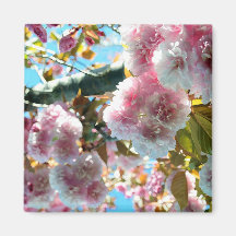 Kirschblüten-Eindrucks-Magnet Kühlschrankmagnete