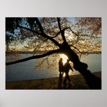 Kirschblüten-Silhouette Plakatdruck