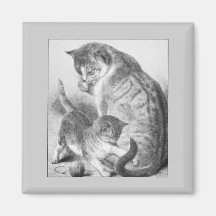 Kitty espiègle magnets pour réfrigérateur
