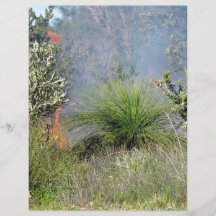 Kleiner Bushfire Flyerbedruckung