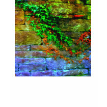 Klettern des Wand-Hemdes