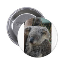 Koala Badge Avec Épingle