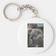 Koala Porte-clé
