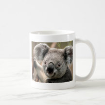 Koala Teetassen
