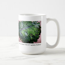 Kohl-Kaffeetasse