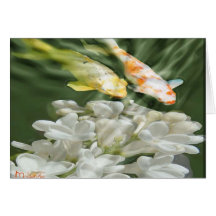 "Koi mit weißen Blumen " Karte