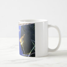 Koi Tasse