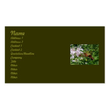 Kolibri-klare Flügel-Motten-Visitenkarte