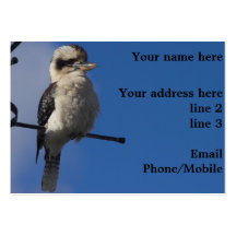 Kookaburra, Ihr Name hier, Ihr Adresse hereli… Visitenkartenvorlage