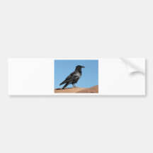 Krähe Autosticker