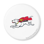 Krypto der Hund magnete