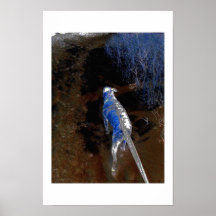 La BO mène la manière Posters