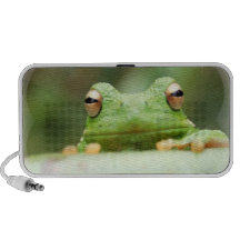 La grenouille observe des haut-parleurs