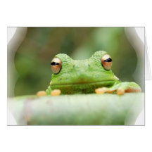 La grenouille observe la carte de voeux