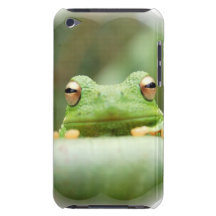 La grenouille observe le cas d'iTouch Étui Barely There iPod