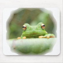La grenouille observe le tapis de souris