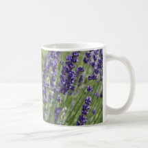 La lavande fleurit la tasse