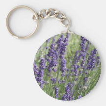La lavande fleurit le porte - clé porte-clé