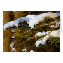 La neige a couvert le sapin ! cartes