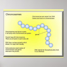La Science, les sciences de la vie, ADN de chromos Posters