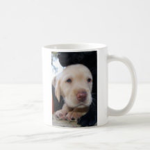 Labrador-Welpe Kaffeehaferl