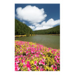 Posters Nature