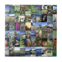 Landscape scenic and nature mosaic ceramic tile