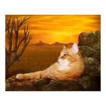 Lazing Katze poster