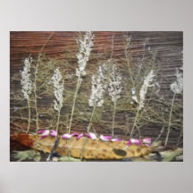 Le blanc laisse des arbres poster