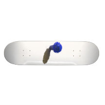 Le bleu fleurit le seau et l'ombre blancs planches à roulettes