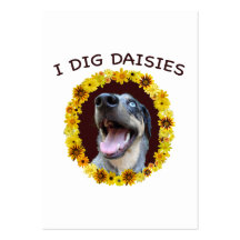 Le chien de Catahoula creuse des marguerites Modèles De Cartes De Visite