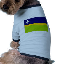Le drapeau néerlandais de Flevoland Manteau Pour Chien