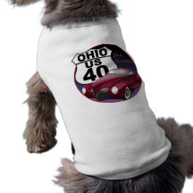 Le fantôme de l'itinéraire 40 manteaux pour chien