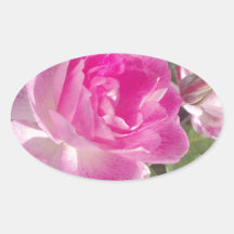 Le jardin rose s'est levé autocollant ovale