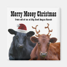 Le Joyeux Noël de MOOEY effraye l'aimant drôle de 