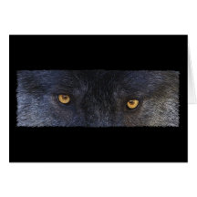 Le LOUP OBSERVE des Salutation-cartes de défenseur