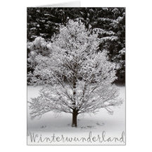 Le pays des merveilles d'hiver cartes de vœux