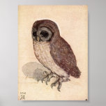 Le petit hibou par Albrecht Durer Posters
